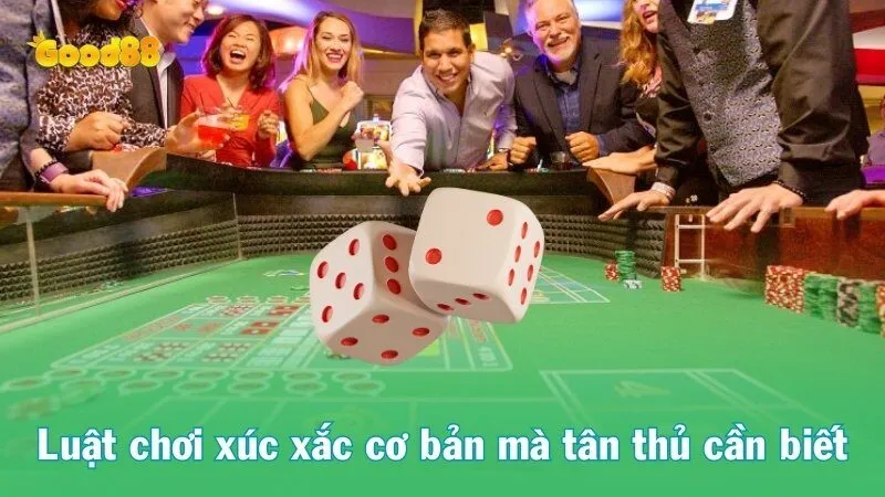 Luật chơi xúc xắc cơ bản mà tân thủ cần biết